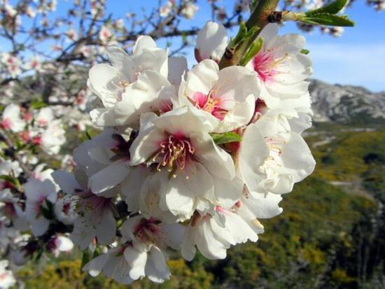 Villa La Cigale, Maussane Les Alpilles Экстерьер фото